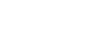 ANWB Logo