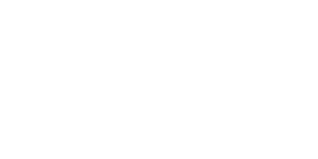 Swiss Sense - Logo